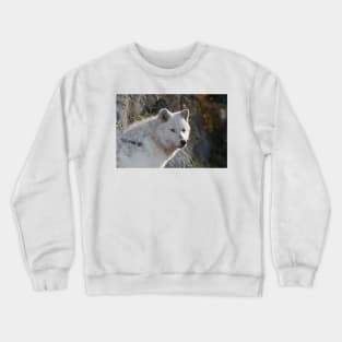 Arctic Wolf Crewneck Sweatshirt